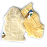 Baby Lambskin Sheepskin Rug (Gold/Ivory) Australian Eco-Tan Sanitized - UGGFace